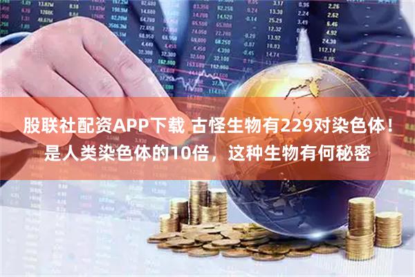 股联社配资APP下载 古怪生物有229对染色体！是人类染色体的10倍，这种生物有何秘密