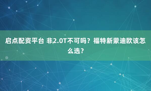 启点配资平台 非2.0T不可吗？福特新蒙迪欧该怎么选？