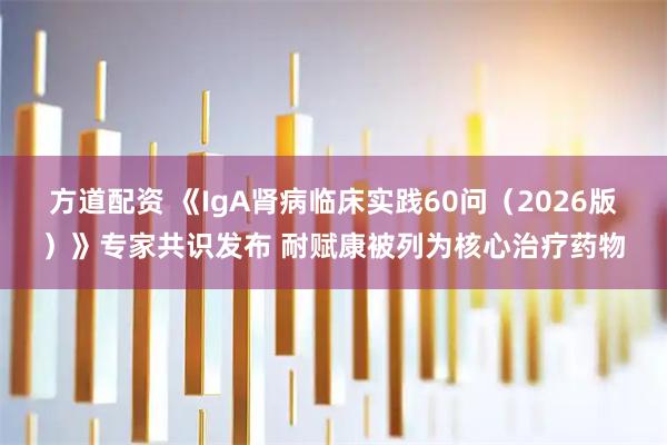 方道配资 《IgA肾病临床实践60问（2026版）》专家共识发布 耐赋康被列为核心治疗药物